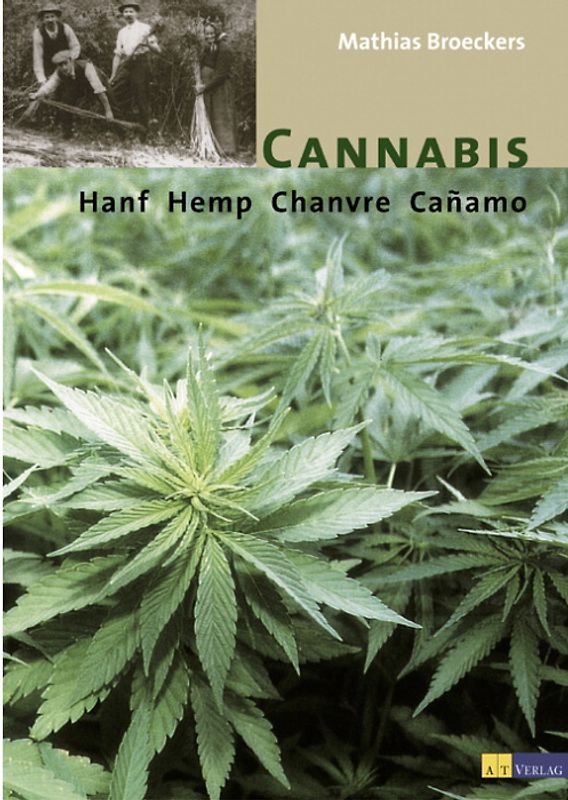 Cannabis. Hanf, Hemp, Chanvre, Canamo. Dt. /Engl. /Span. /Franz.