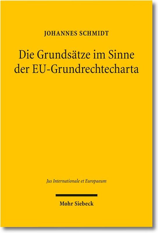 Die Grundsätze im Sinne der EU-Grundrechtecharta