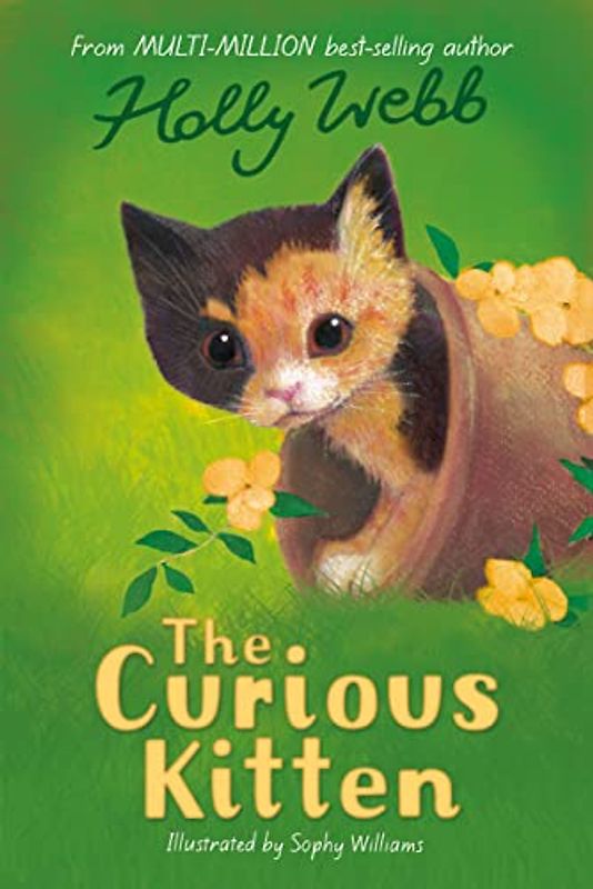 The Curious Kitten: 34 (Holly Webb Animal Stories, 34)