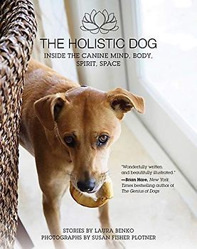 The Holistic Dog