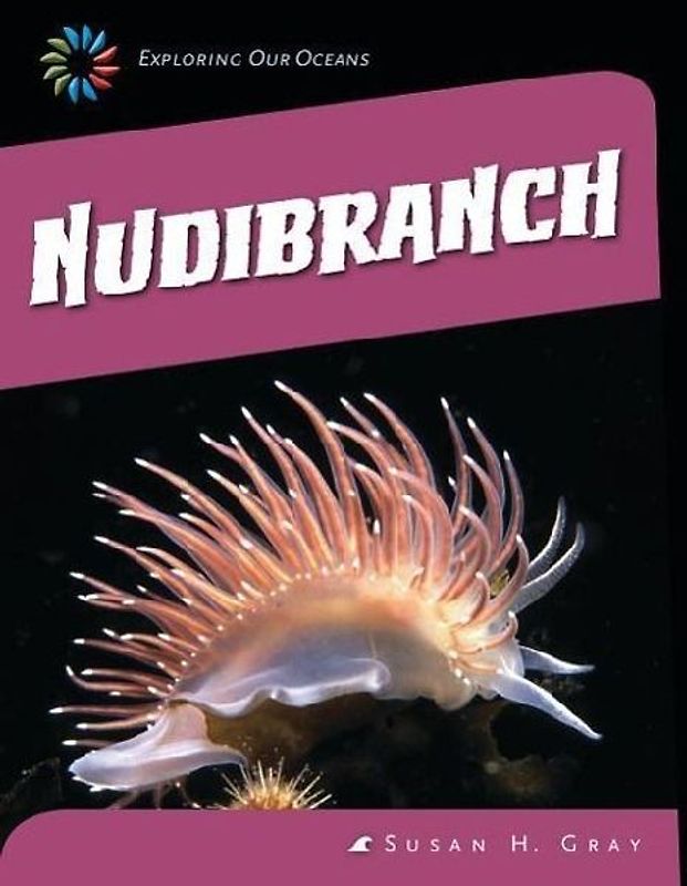 Nudibranch
