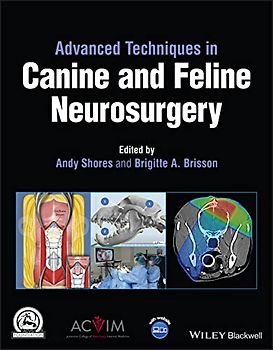 Advanced Techniques in Canine and Feline Neurosurgery