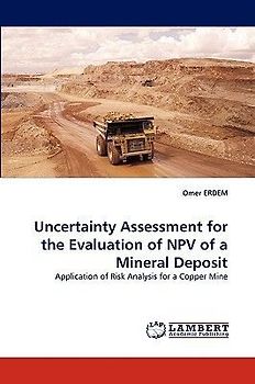 Uncertainty Assessment for the Evaluation of NPV of a Mineral Deposit