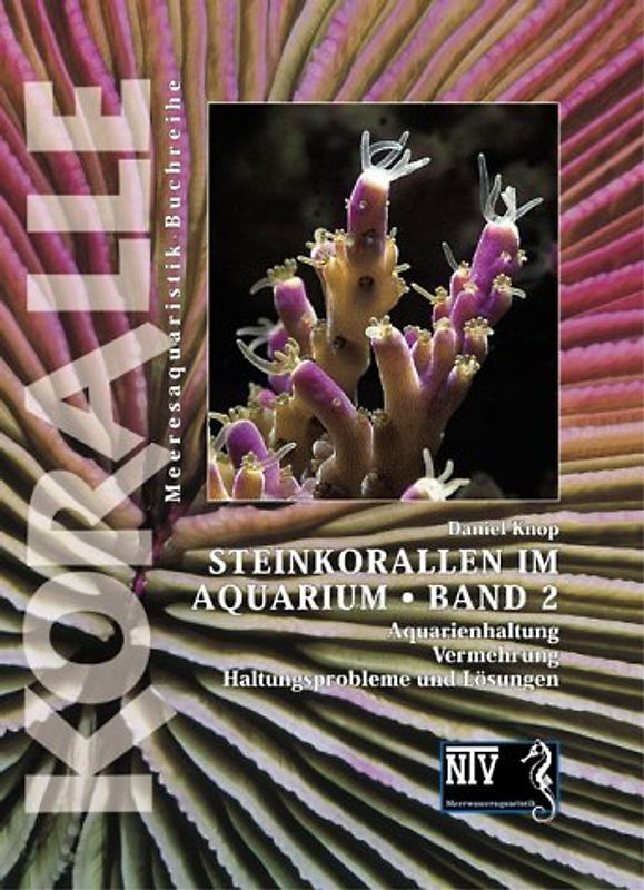 Steinkorallen im Aquarium