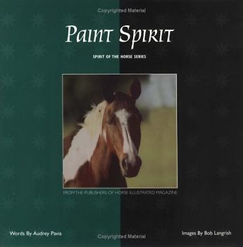 Paint Spirit (Spirit of the Horse)