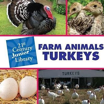 Farm Animals: Turkey
