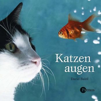 Katzenaugen