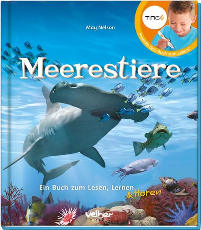 TING: Meerestiere