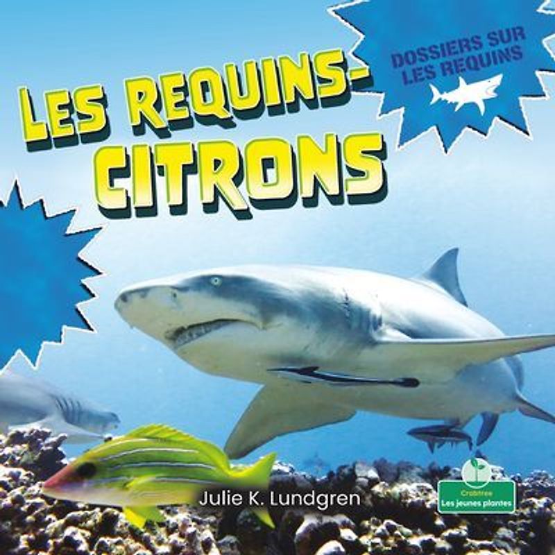 Les Requins-Citrons (Lemon Sharks)