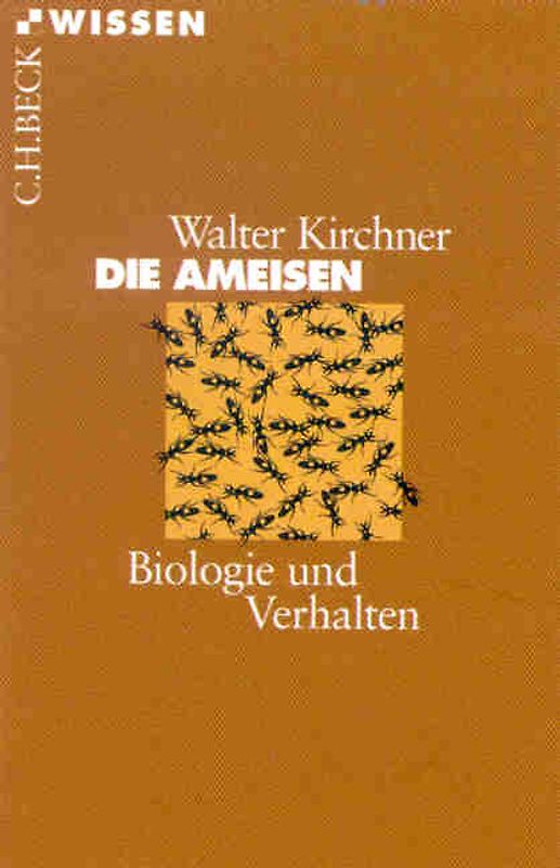 Die Ameisen