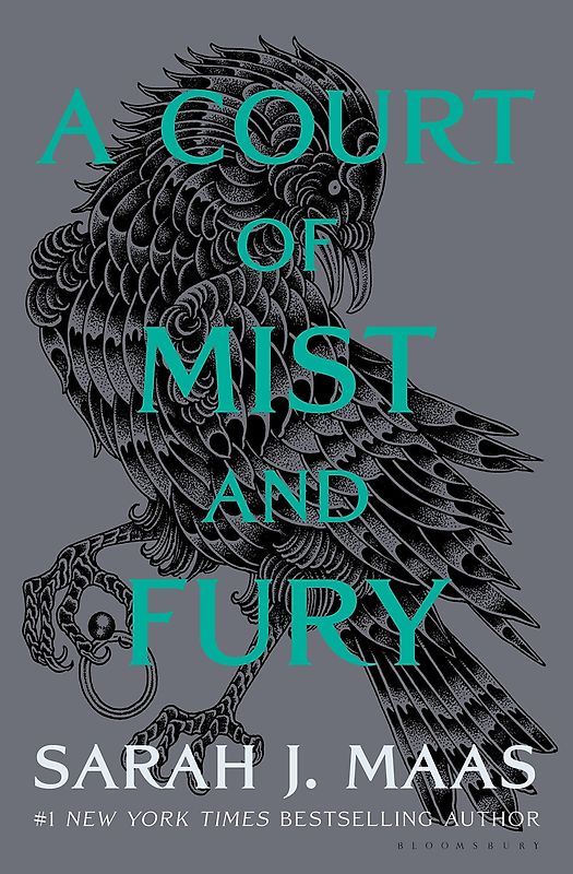 A Court of Mist and Fury (A Court of Thorns and Roses, Band 9)