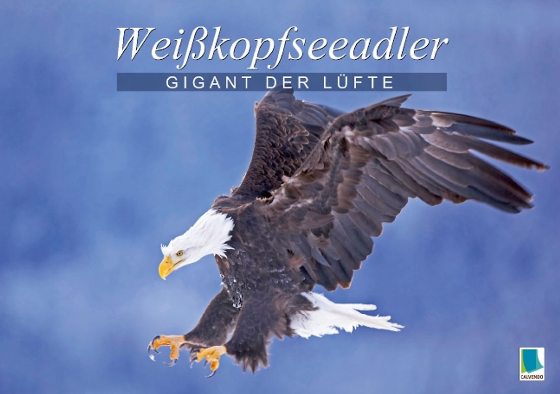 Gigant der Lüfte: Weißkopfseeadler (Tischaufsteller DIN A5 quer)