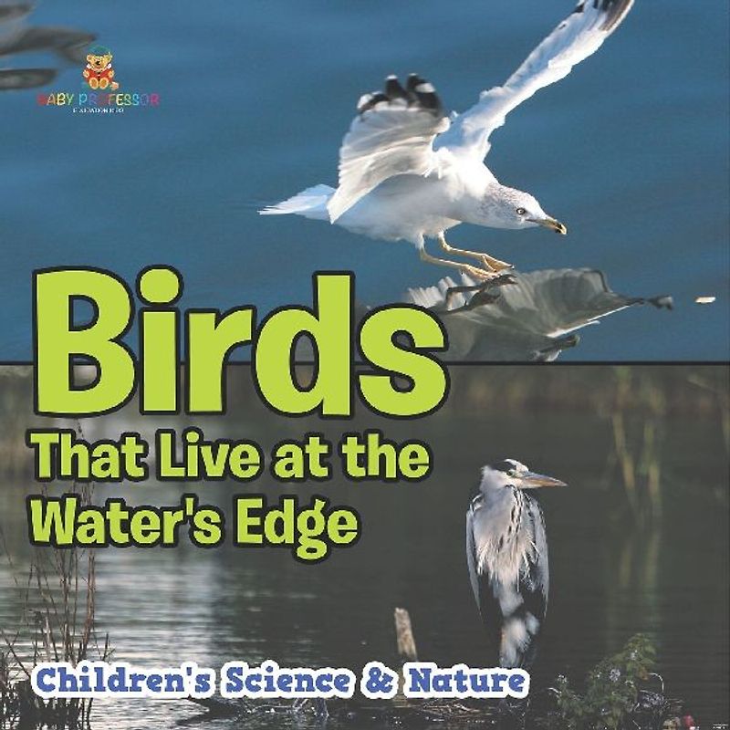 Birds That Live at the Water's Edge | Children's Science & Nature