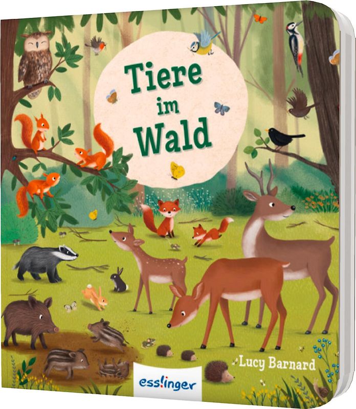 Mein erstes Natur-Wimmelbuch: Tiere im Wald – Mini-Ausgabe