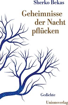 Geheimnisse der Nacht pflücken