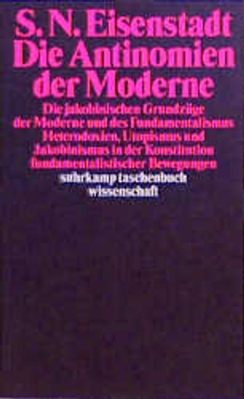 Die Antinomien der Moderne