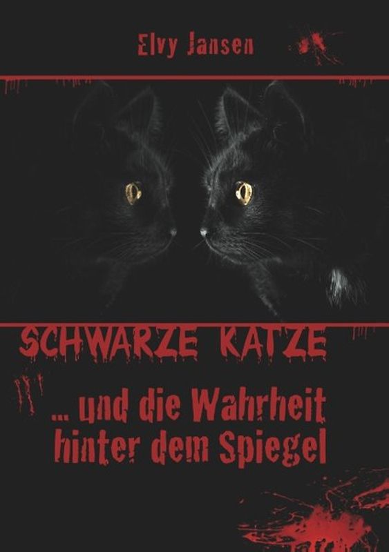 Schwarze Katze...Und die Wahrheit hinter dem Spiegel