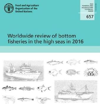 Worldwide review of bottom fisheries in the high seas in 2016
