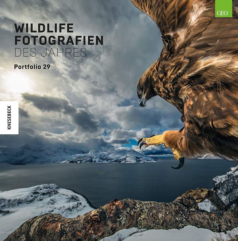 Wildlife Fotografien des Jahres – Portfolio 29