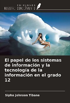 El papel de los sistemas de información y la tecnología de la información en el grado 12