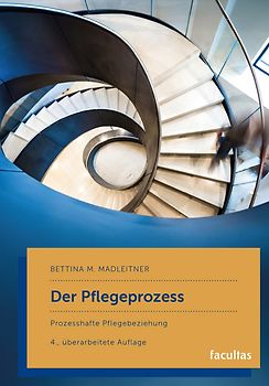 Der Pflegeprozess