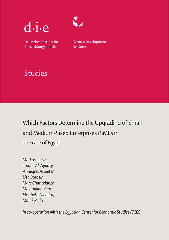 Which factors determine the upgrading of small and medium-sized enterprises (SMEs)