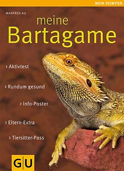 Meine Bartagame