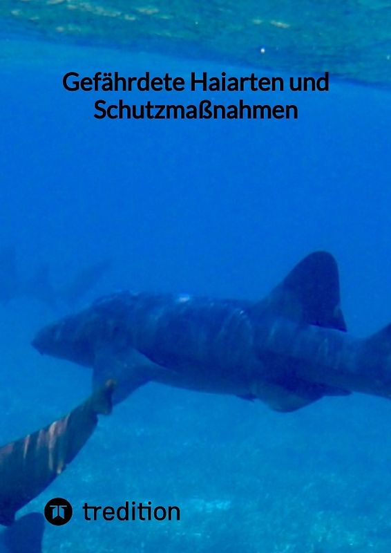 Gefährdete Haiarten und Schutzmaßnahmen