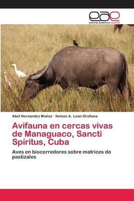 Avifauna en cercas vivas de Managuaco, Sancti Spíritus, Cuba