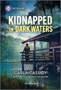 Kidnapped in Dark Waters