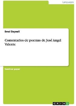 Comentarios de poemas de José Angel Valente