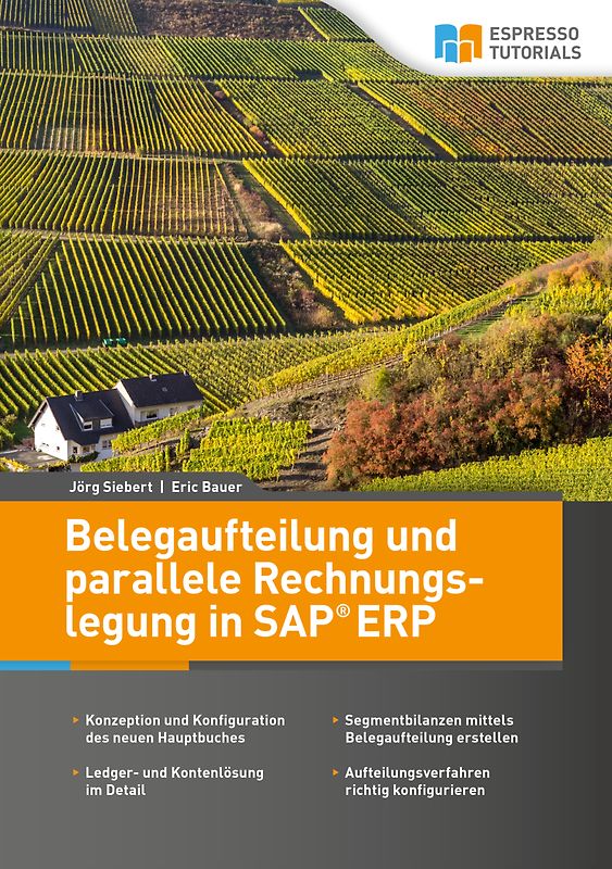 Belegaufteilung und parallele Rechnungslegung in SAP ERP