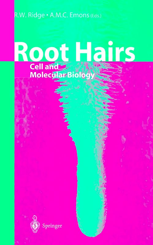 Root Hairs