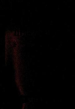 Die Fachübersetzung