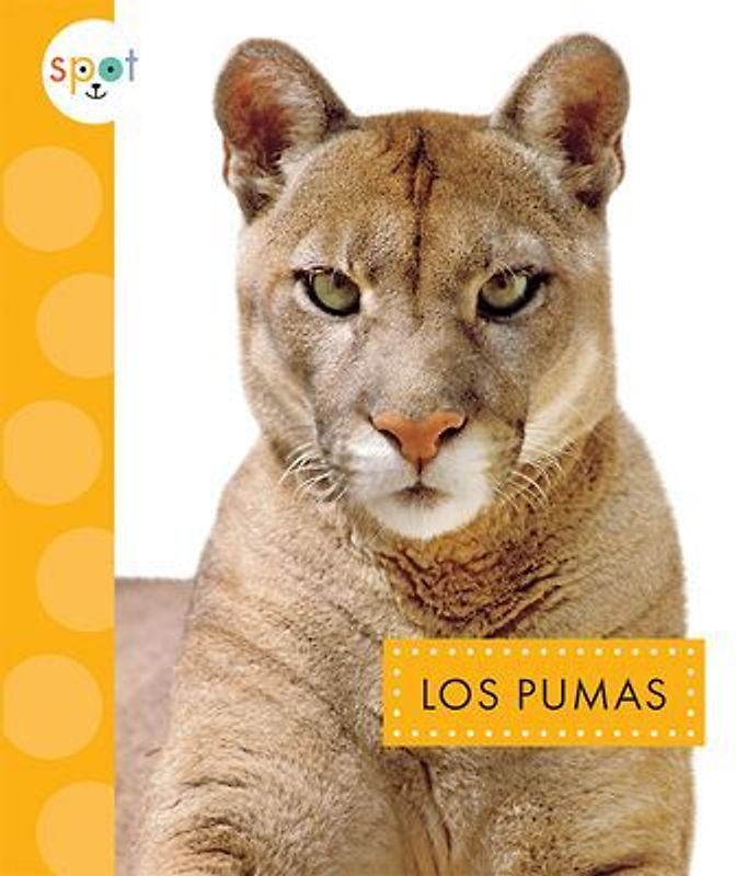 Los Pumas