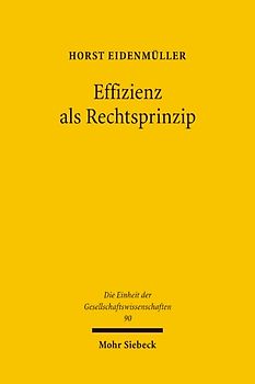 Effizienz als Rechtsprinzip