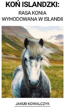 Koń Islandzki