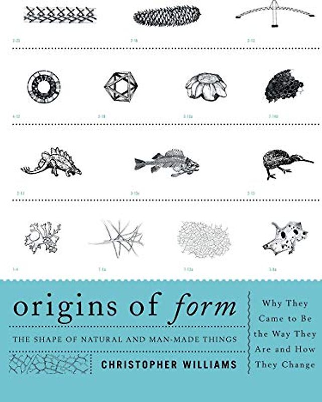 Origins of Form: The Shape of Natural and Man-made Things-Why They Came to Be the Way They Are and How They Change