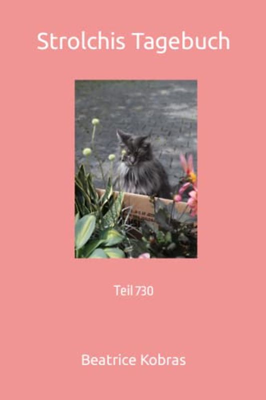 Strolchis Tagebuch: Teil 730