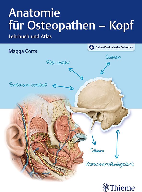 Anatomie für Osteopathen - Kopf