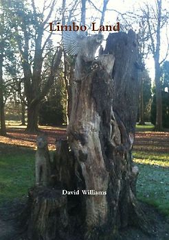 Limbo Land
