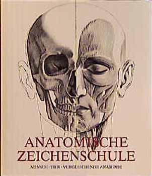 Anatomische Zeichenschule. Mensch - Tier - Vergleichende Anatomie
