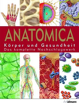 Anatomica