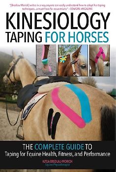 Kinesiology Taping for Horses