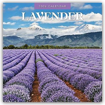 Lavender 2026 Square Wall Calendar