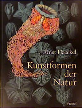 Ernst Haeckel