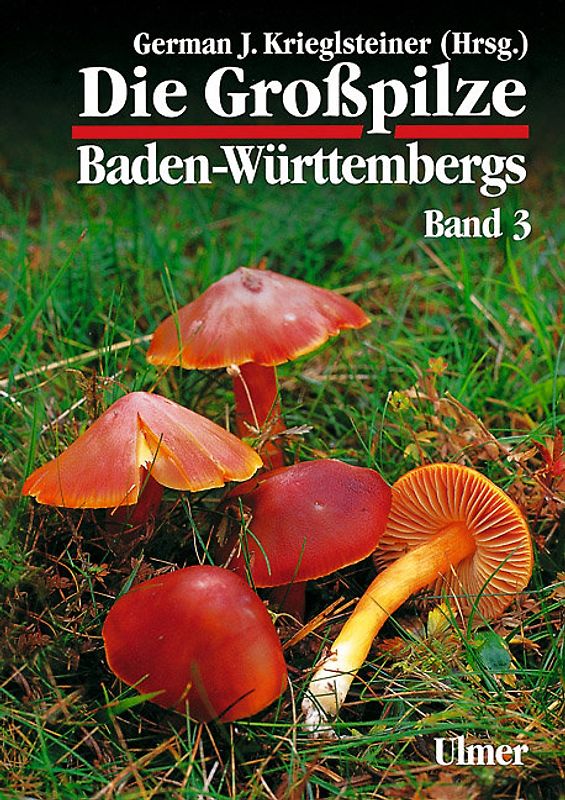 Die Grosspilze Baden-Württembergs / Die Großpilze Baden-Württembergs Band 3