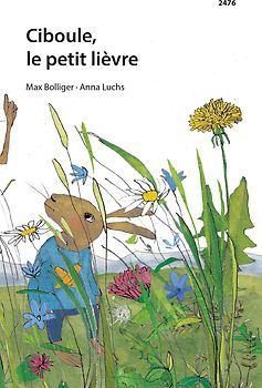 Ciboule, le petit lièvre