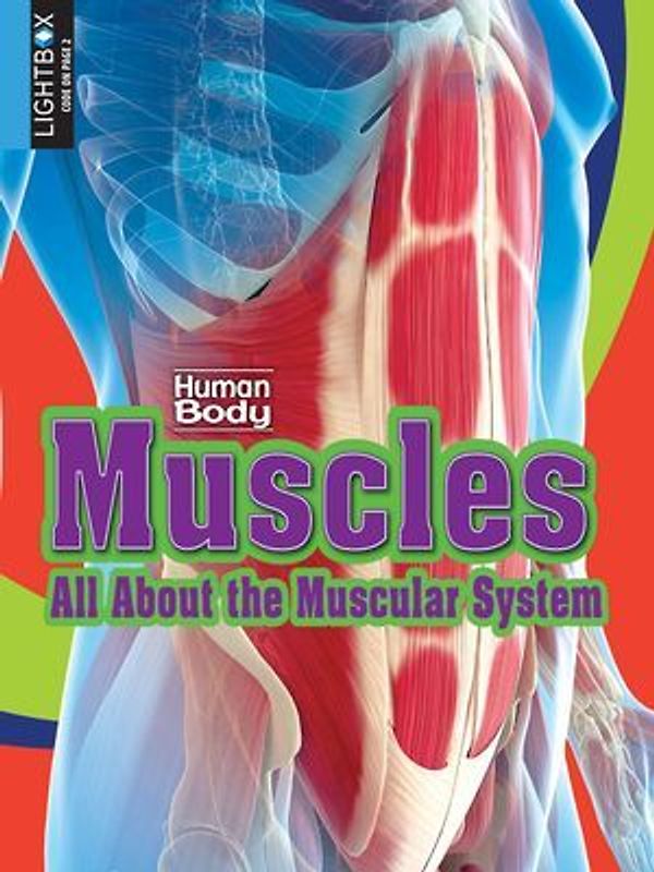 Muscles: All about the Muscular System