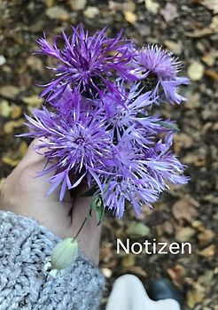 Notizen